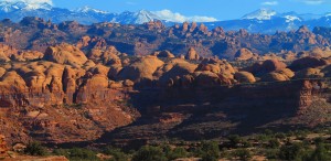 dan_moab